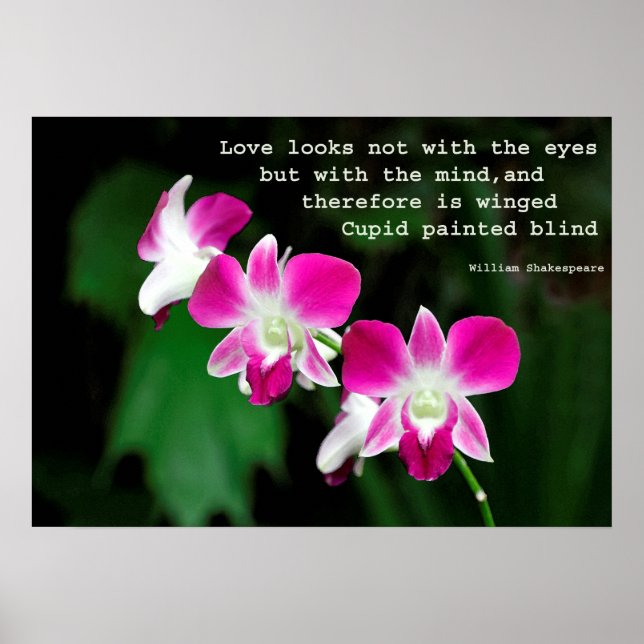 Orchideen in Wasserfarbe Poster (Vorne)