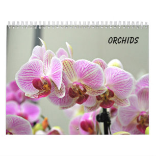 Orchideen Kalender