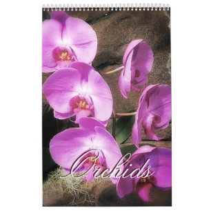 Orchideen Kalender