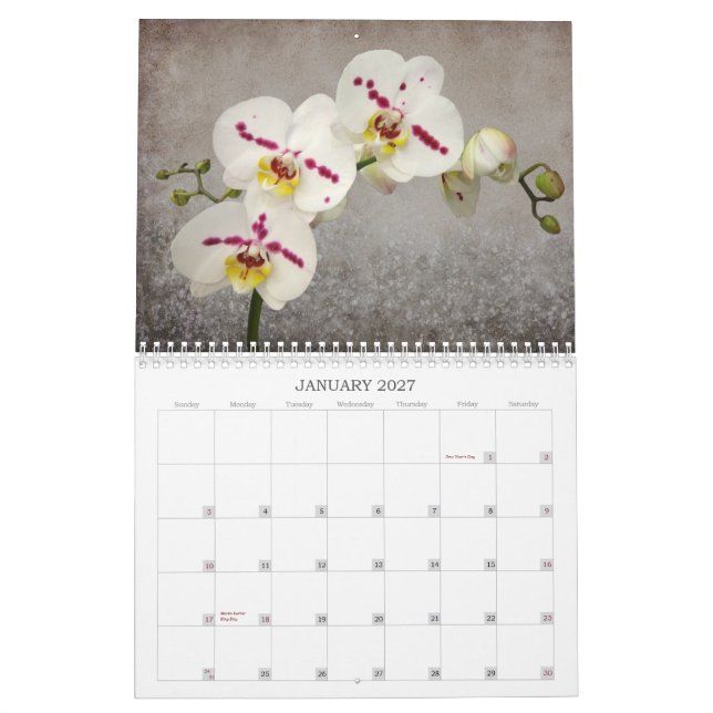 Orchideen-Kalender 2015 Kalender (Jan 2027)
