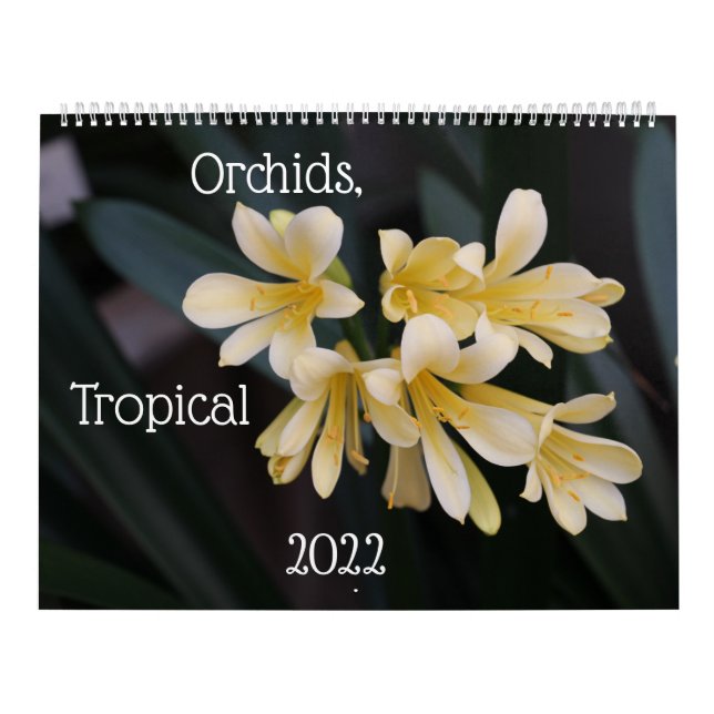 Orchideen, Kalender der tropischen Pflanze 2022 (Titelbild)