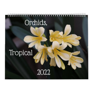 Orchideen, Kalender der tropischen Pflanze 2022