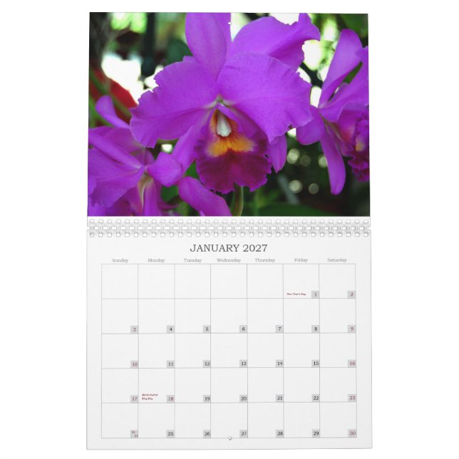 Orchideen-Kalender Kalender (Jan 2027)