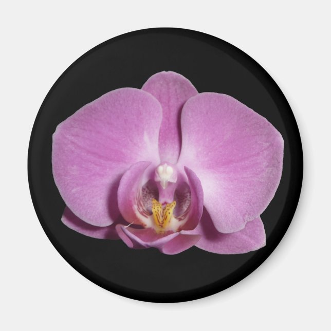 Orchideen Magnet (Vorne)