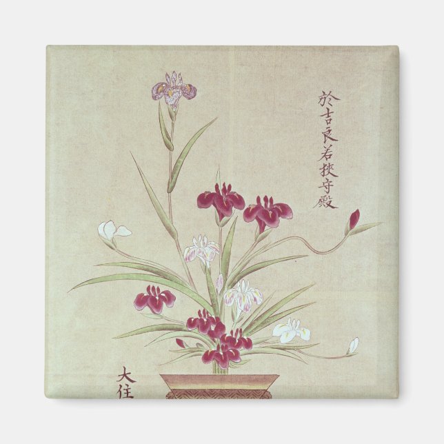 Orchideen Magnet (Vorne)