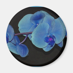 Orchideen Magnet