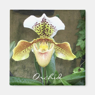 Orchideen-Magnet Magnet