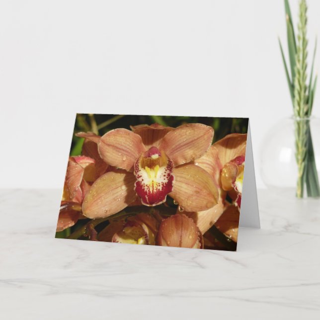 Orchideen mit Raindrops floral Karte (Vorderseite)