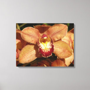 Orchideen mit Raindrops floral Leinwanddruck