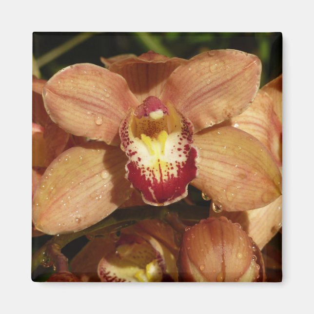 Orchideen mit Raindrops floral Magnet (Vorne)