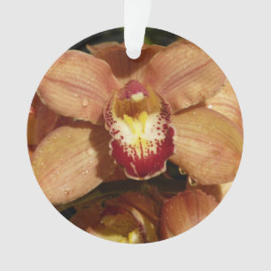 Orchideen mit Raindrops floral Ornament
