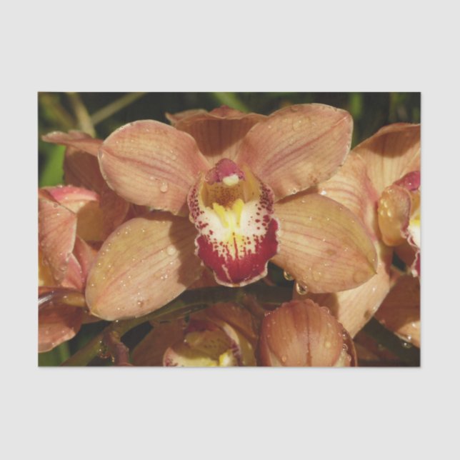 Orchideen mit Raindrops floral Seidenpapier (Vorderseite)