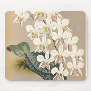 Orchideen Mousepad