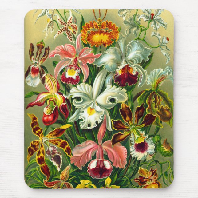 Orchideen Mousepad (Vorne)