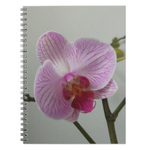 Orchideen-Notizbuch