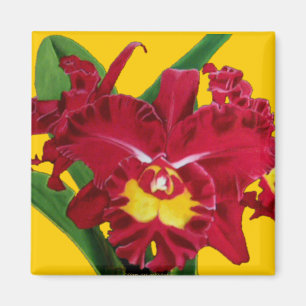 Orchideen-Öl auf Leinwand-Magneten Magnet