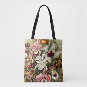Orchideen, Orchideae Denusblumen Ernst Haeckel