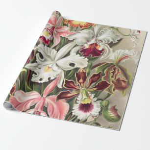 Orchideen, Orchideae Denusblumen von Ernst Haeckel Geschenkpapier
