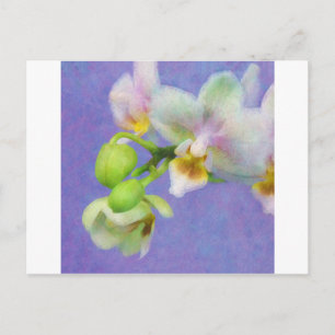 Orchideen Postkarte