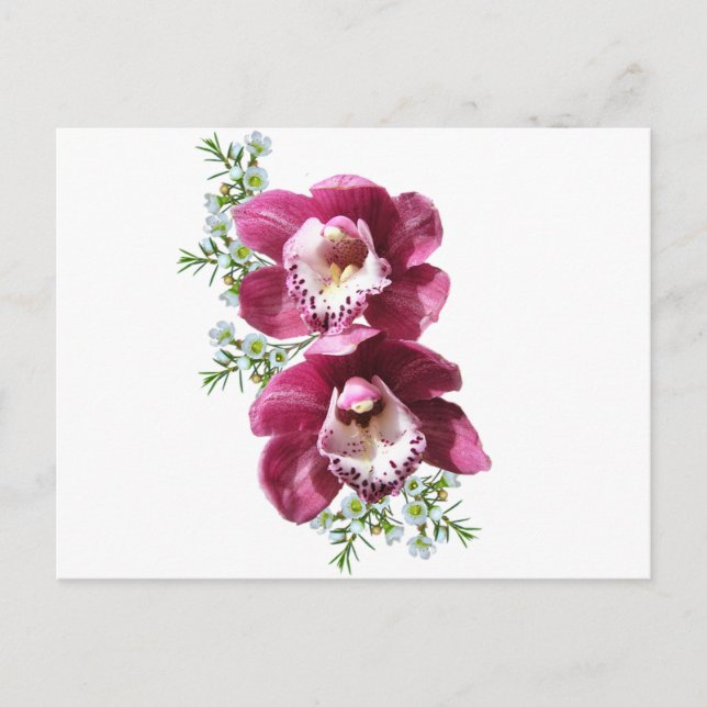 Orchideen Postkarte (Vorderseite)
