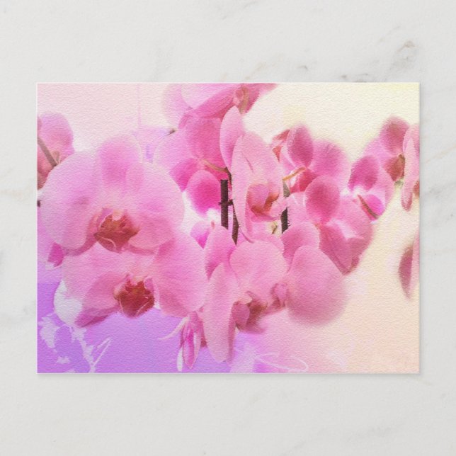 Orchideen. Postkarte (Vorderseite)