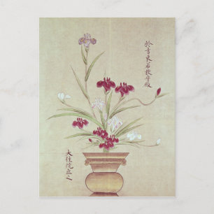 Orchideen Postkarte