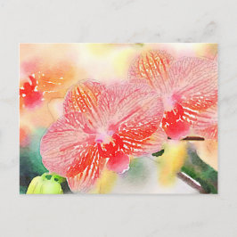 Orchideen Postkarte