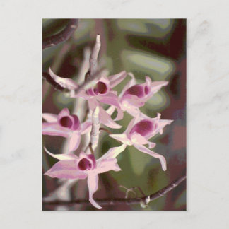 Orchideen Postkarte