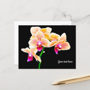 Orchideen-Postkarte Postkarte