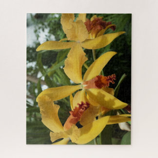 Orchideen Puzzle