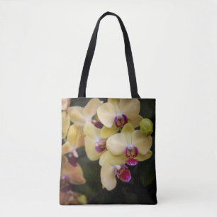 Orchideen, rosa und gelb