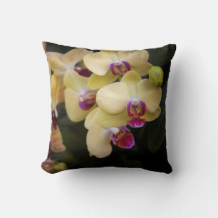 Orchideen, rosa und gelb kissen