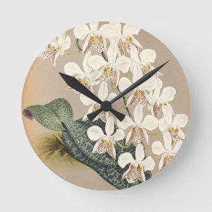 Orchideen Runde Wanduhr