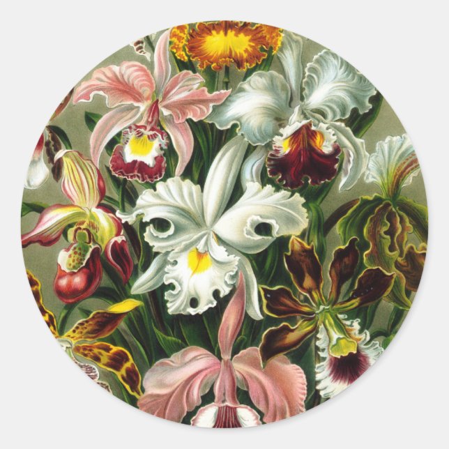 Orchideen Runder Aufkleber (Vorderseite)