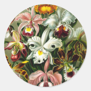 Orchideen Runder Aufkleber