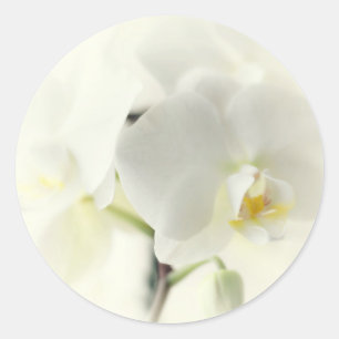 Orchideen Runder Aufkleber