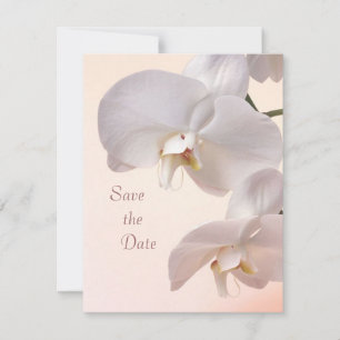 Orchideen Save the Date