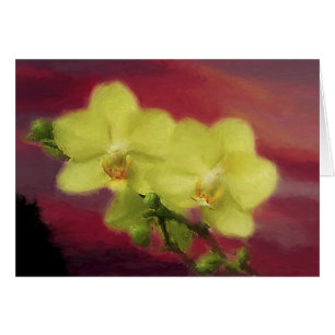 Orchideen-Sonnenuntergang