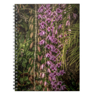 Orchideen-Spiral-Notizbuch Notizblock
