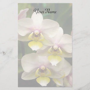 Orchideen stationär briefpapier