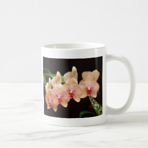 Orchideen! Tasse