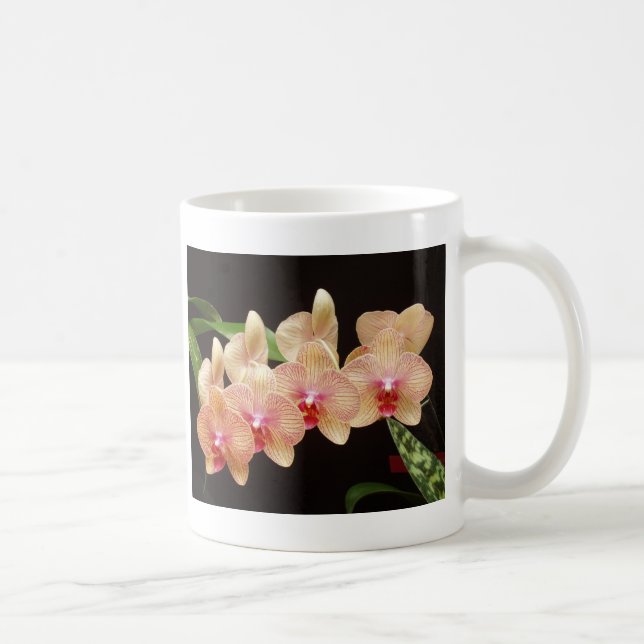 Orchideen! Tasse (Rechts)