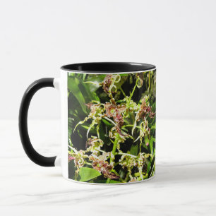 Orchideen Tasse