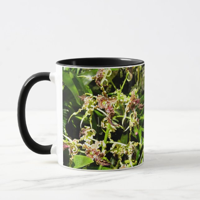 Orchideen Tasse (Links)