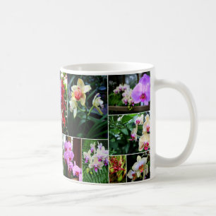 Orchideen Tasse