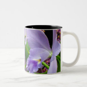 Orchideen-Tasse 11 Zweifarbige Tasse