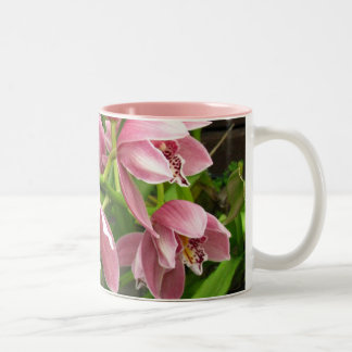 Orchideen-Tasse 7 Zweifarbige Tasse