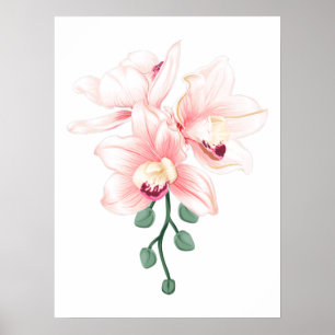 Orchideen und Blume schneiden Pflanze Boat Orchid  Poster