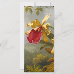 Orchideen und Hummingbird Heade Card