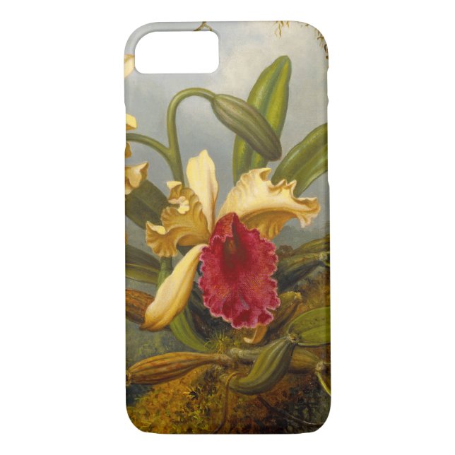 Orchideen und Hummingbird Heade Case-Mate iPhone Hülle (Rückseite)